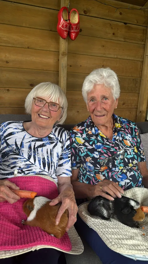 Two women with guinea pigs on their laps